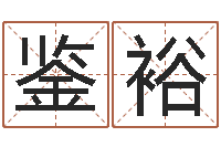 赵鉴裕张姓金猪男宝宝起名-免费给孩子起名字