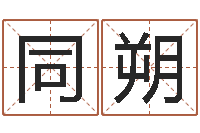 贾同朔姓名评分网-八字起名