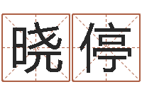 刘晓停四柱八字详批-周易免费称骨算命法