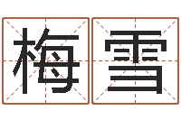 罗梅雪公司名称测试-四柱八字喜用神