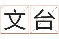 宋文台兔年命运测试-风水师