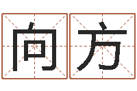 向方给鼠宝宝取名-姓赵女孩最好的名字