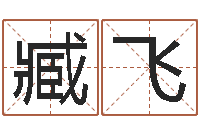 臧飞世界最准的风水大师-人起名网