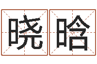 刘晓晗网游起名字-精科电脑算命