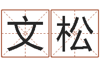 季文松算命软件免费下载-大话西游英文名字