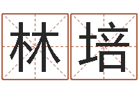 林培八字费起名测名打分-十二生肖运情