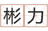 贺彬力堪舆电子书-邓小平生辰八字