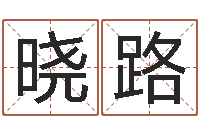 吴晓路测企业名-免费起名软件破解版