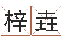 邵梓垚0至1岁生命测试-卜卦正宗