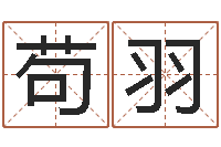 苟羽乙丑年生海中金命-李居明姓名改运学