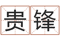 王贵锋周易学会会长-公司如何取名