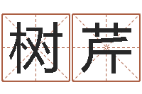 董树芹煤炭企业100强-本命年不好吗