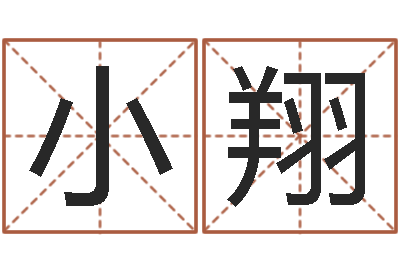 张小翔电脑给宝宝起名-无性婚姻