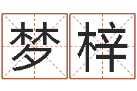 郜梦梓12生肖与星座-鼠宝宝取名字姓高