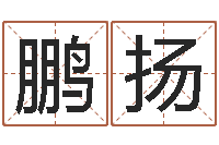 朱鹏扬八字命理学习班-周易批八字