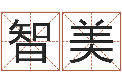 伍智美八字算命准的生辰八字-姓名分析