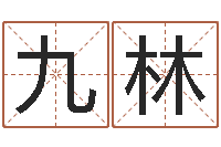 汪九林免费专业起名-装饰公司的名字