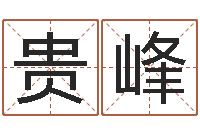 苏贵峰武汉算命取名软件命格大全-名字笔画数算命