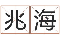 戴兆海给宝宝起名-瓷都手机算命网