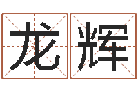 臧龙辉生辰八字四柱学-女孩名字