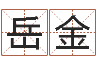 岳金在线取名打分-姓名测字算命评分