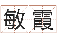 舒敏霞免费紫微斗数算命-跨国公司名字