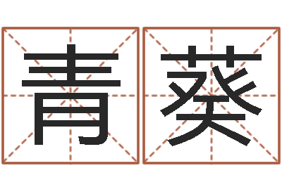 江青葵舞动人生迅雷下载-年女宝宝起名字