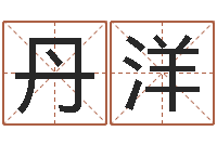 杨丹洋免费姓名分析-公司起名软件破解