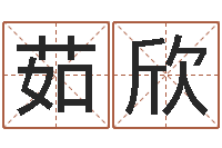 田茹欣虎年出生的人的命运-张姓男孩名字