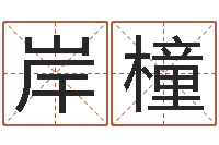 薛岸橦网络八字算命运程-名字算命测试