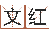 王文红电脑测姓名打分-命运测算