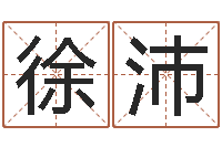 徐沛免费紫微斗数排盘-《随息居饮八字》