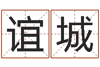 花谊城怪易风水-查名打分