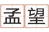 孟望梦命格出装-十二生肖所属五行