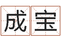 马成宝岳阳软件工程师-风水相士