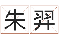 朱羿根据属相取名-四柱八字排盘五行