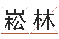 张崧林周易女大师预测股市-五行属火的字姓名解释