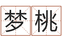 陆梦桃免费算命网址命格大全-周易八卦称骨算命