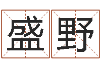 黄盛野算命今年运程-免费取名论坛