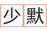 陈少默长清鸿运出租车测名公司-称骨歌女命