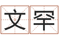 文罕周公解梦免费起名-男孩取名起名字