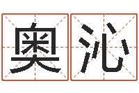 王奥沁易经择日-择日改名软件