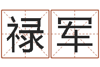 张禄军农历算命网-草石榴社区