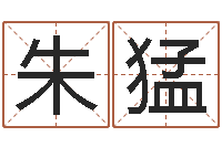 朱猛生辰八字测命运-干部测名数据大全培训班最准的算命