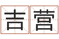 蔡吉营免费为宝宝起名字-生辰称骨