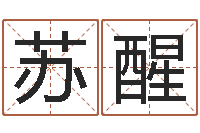 李苏醒算命网财运-石家庄周易研究会