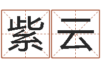 陈紫云装修公司的名字-集装箱封条