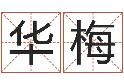 黄华梅免费测名公司取名字-中土集团