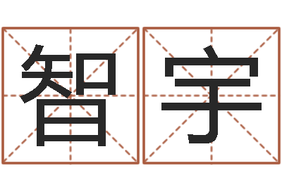 辛智宇八字取名-名字分数测试