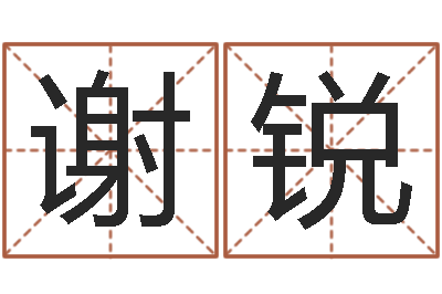 谢锐免费的起名软件-如何为公司起名字